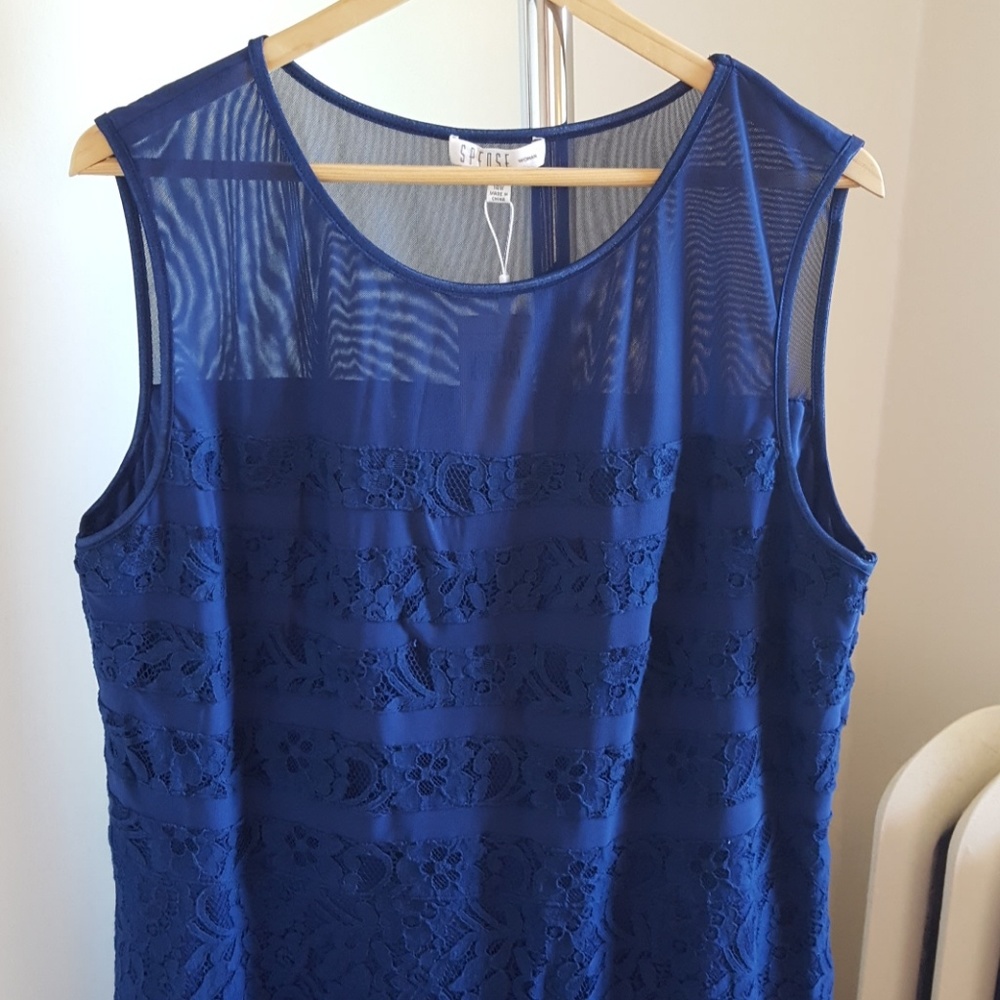 Spense lace and mesh dress NWT
